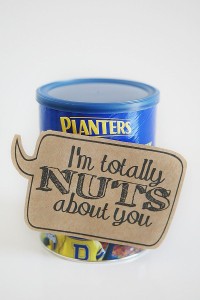 nuts